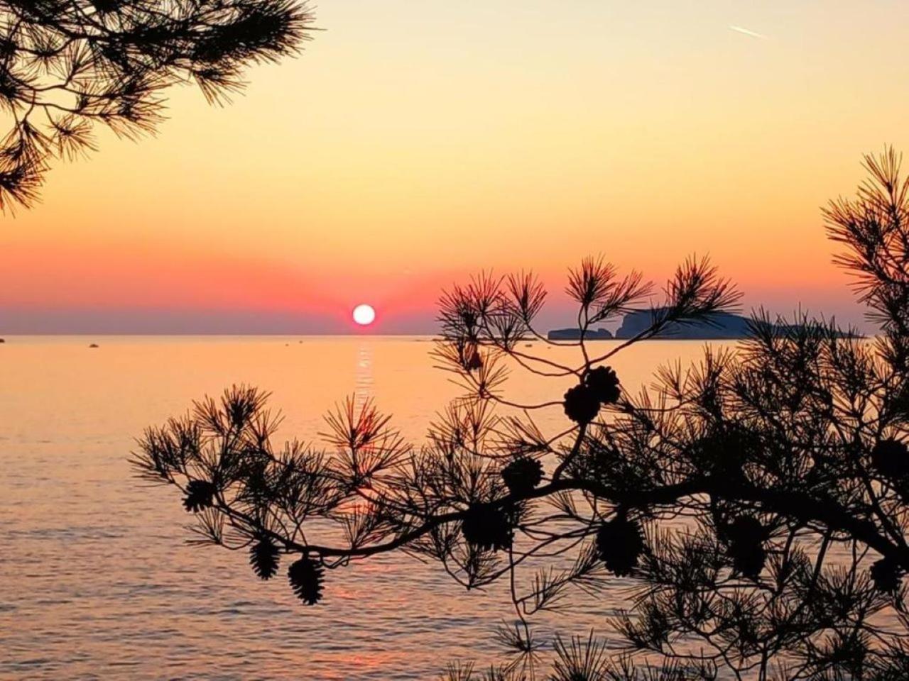 Appartamento New Roko Zvekovica -cavtat,near Dubrovnik Airport